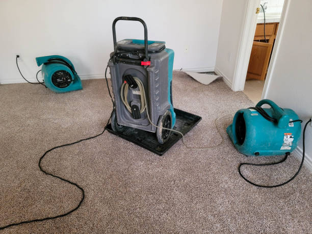  Keuka Park, NY Water damage restoration Pros
