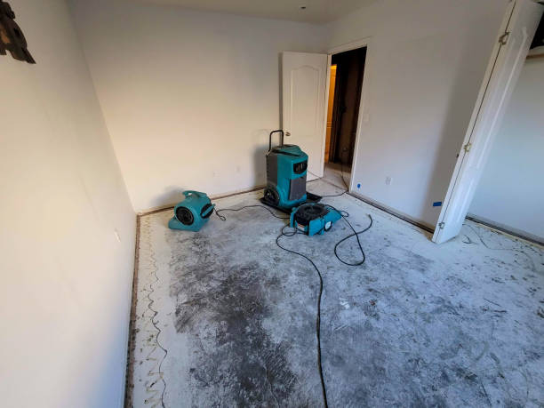 Best Basement water damage restoration  in Keuka Park, NY