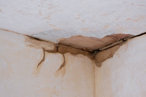 Best Ceiling water damage repair  in Keuka Park, NY