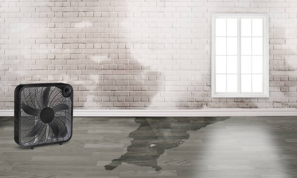 Reliable Keuka Park, NY Water damage restoration Solutions