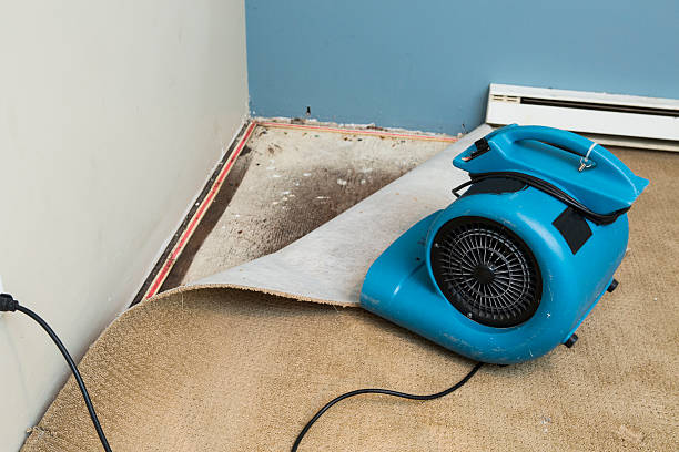 Best 24/7 water damage repair  in Keuka Park, NY